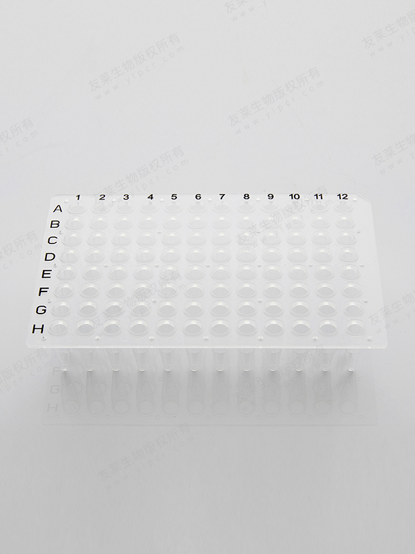 96 well PCR Plate