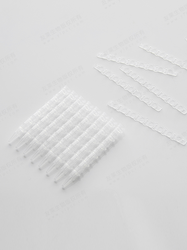 8-Strip PCR Tube: 0.21mL