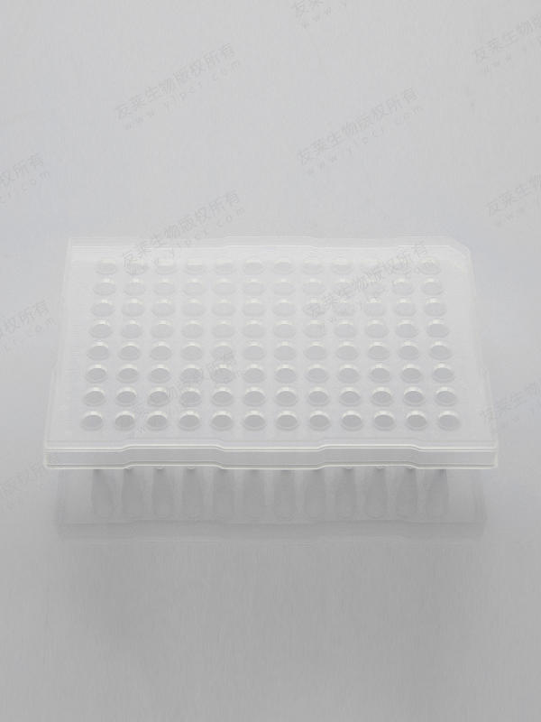 96 well PCR Plate: Compatible for ABI