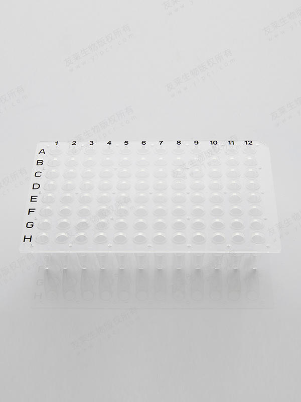 96 well PCR Plate